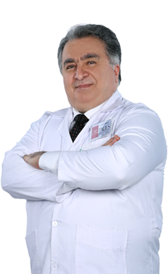 Dr.Babak Babaei