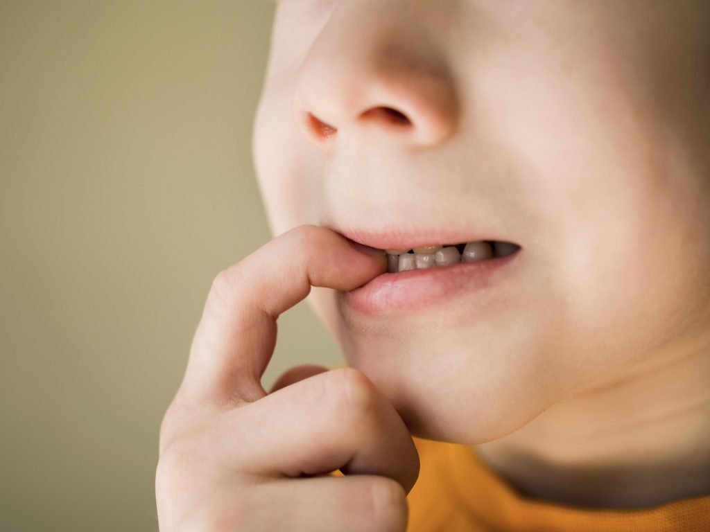 jaw structure of a baby